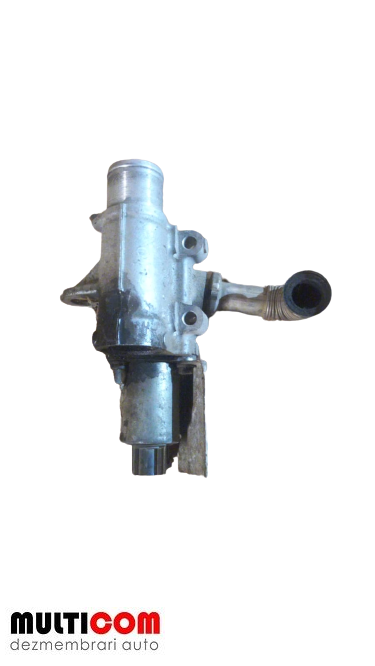 Supapa EGR Renault Clio