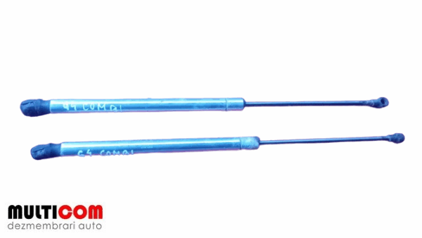 Amortizoare haion VW Golf 4 Combi