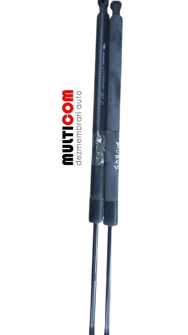 Amortizoare capotă Renault Modus